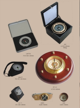 Wild Tool Compass 1