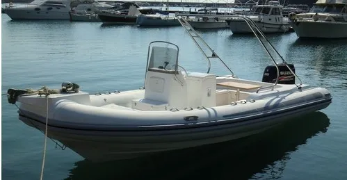 7.6 Meterrib Boat /Rigid Inflatable Boat / Pleasure Boat