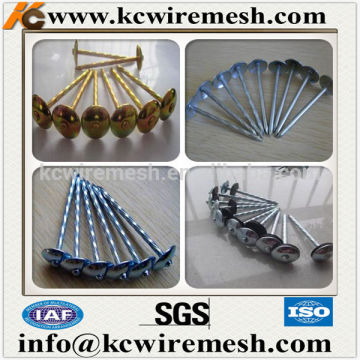 KANGCHEN twisted umbrella roofing nails made in China.