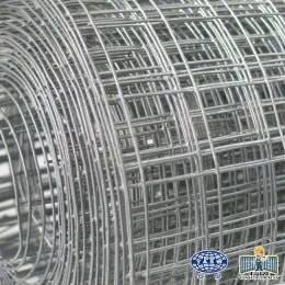 Best price high quality electro galvanized metal mesh roll welded wire mesh