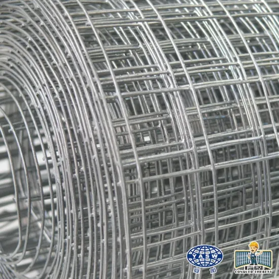 Electro galvanized wire mesh roll