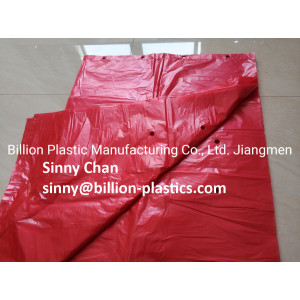 Polyethylene Plastic Storage Bags for Fruit