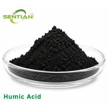 Humic Acid Soil Conditioner for Soil Improvement