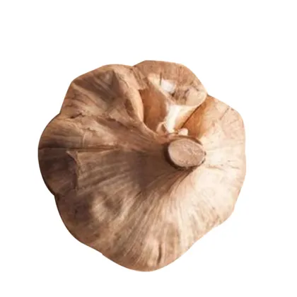 Black Garlic Products for Western Food