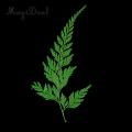 12pcs Natural Press Fern Leaves Pressed Real Dried Flower Dry Leaves for DIY Crafts Bookmark Scrapbooking Card Making