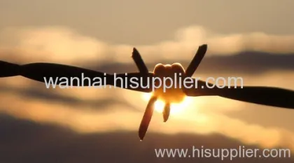 China Anping Barbed Wire 