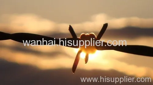 China Anping Barbed Wire 