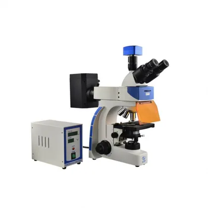 Zeiss Dichroic Mirror Fluorescence Microscope with DAPI Filter: A Comprehensive Guide for Advanced Imaging Techniques