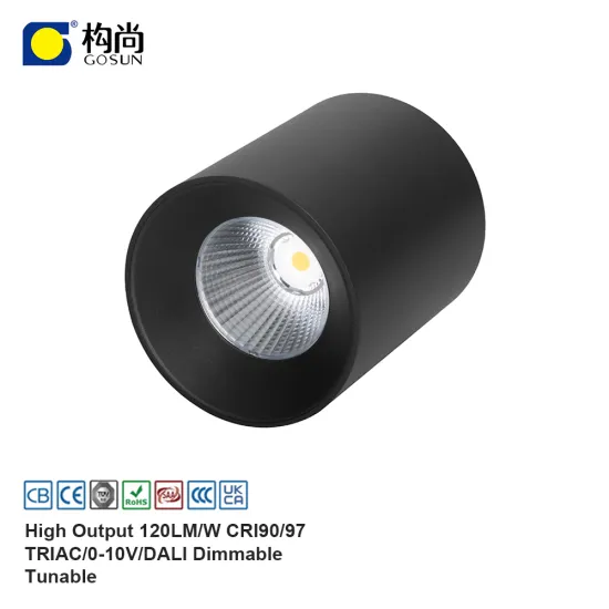 20W 100lm/W Flicker-Free 5-Year Warranty COB LED Downlight for Commercial Lighting