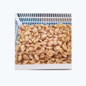 Wholesale china supplier best price clam meat low fat best quality clam meat
