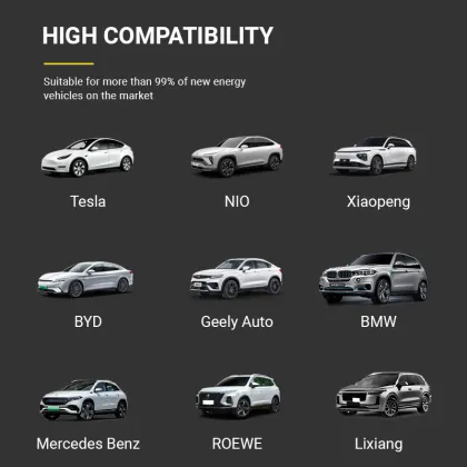 WorkersBee Wallbox App Control GBT Plug Wall-Mounted 32A 7kW EV Charging Stations