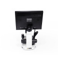 Karu microscope capillary toto noninvasive