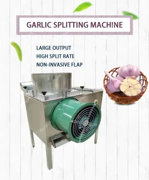 Quality Garlic Splitting and Processing Equipment - Garlic Separator Machine