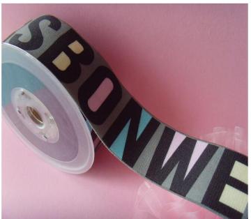 Custom Colored Printed Elastic Bands for Underwear