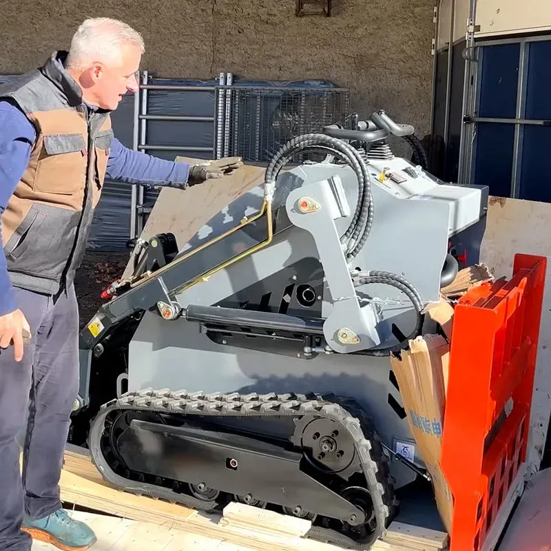 Mini Skid Steer Loader with Free Shipping and Factory Price