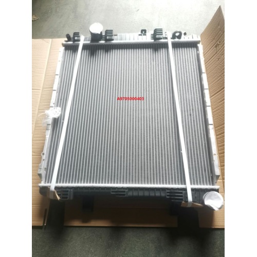 heavy trucks radiators A9705000403