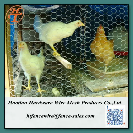 galvanized chicken wire mesh