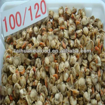 seafood frozen scallops pictures
