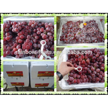 Chinese fresh grapes price