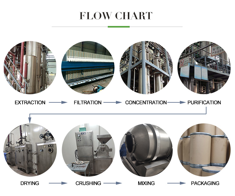 Plant Extract Flow Chart