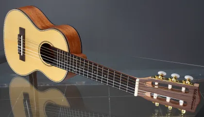 Set Tiger Ukulele