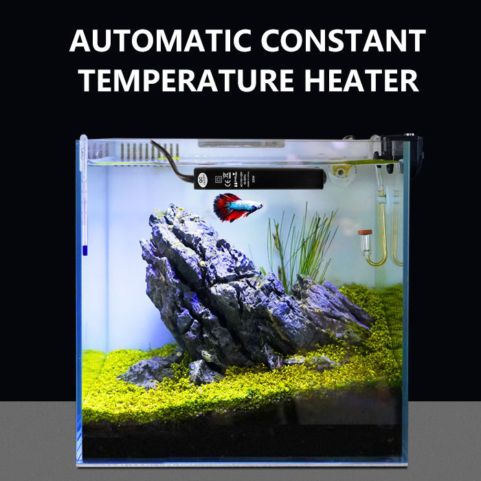 Aquarium Heaters Jpg