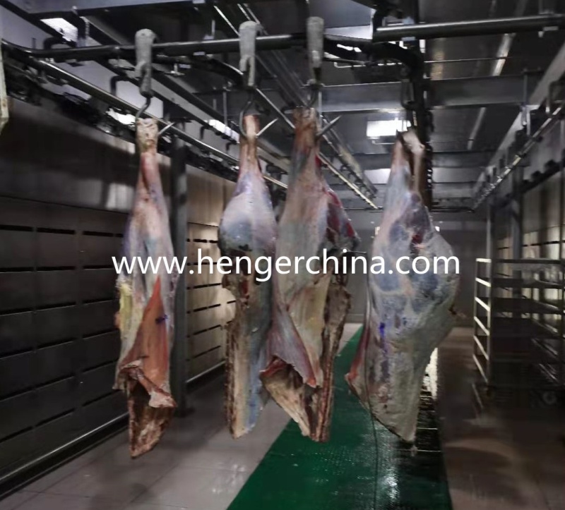 Abattoir Meat Defrosting Machine for Carcass Unfreezing Beef