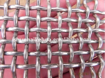 Factory of Galvanized Square wire mesh/wire mesh netting/window square mesh