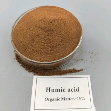 Fulvic Acid: Boost East Africa`s Crop Yields