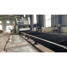 Liner Track Laser cutting machine 12000W DFSHT12035