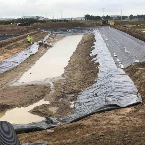 Piscicultura da lagoa de membrana geográfica de polietileno