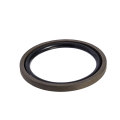 Piston Seal PG Wear Resistant High Temperature Resistant