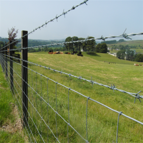 Hot dipped galvanized cattle fence