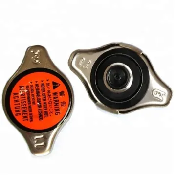 Stainless Auto Parts Radiator Cap Sizes for N31 N34 MR481216