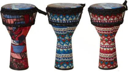 Professional African Drum Instruments: Focus on Djembe Percussion