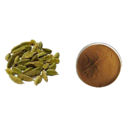 Food Grade Herbal Cardamom Extract