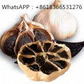 Mesin Bawang Putih Hitam Fermentasi Bawang Putih Hitam Organik