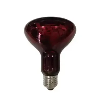 Infrared Therapy Lamp Red Light R95 Infrared Heating Lamp for Physical Therapy