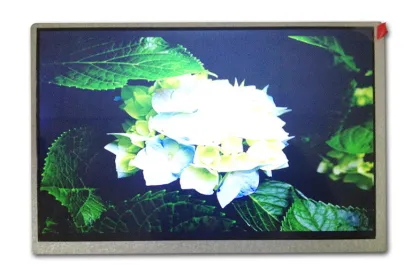 Innolux 9" 15ms Tv Tft Lcd Display Module Lvds Led Backlight Liquid Crystal Display 1280x800