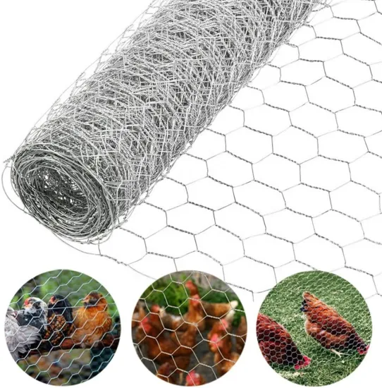 Widely Applied Chicken Wire/Bird Cage Mesh/Galvanized Hexagonal Wire Netting (ISO9001 Compliant)