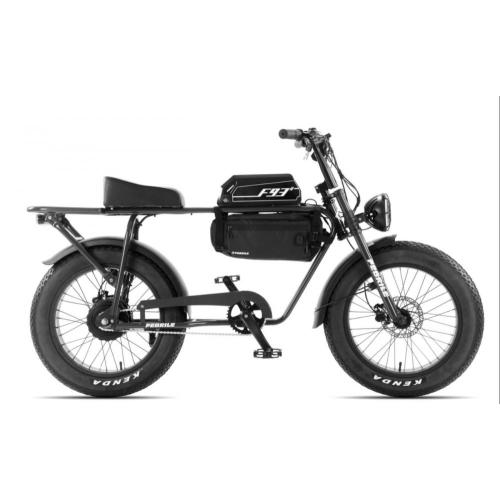 Steel Frame Electric Fat Bike for Mountain Riding