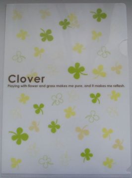 PP file folder