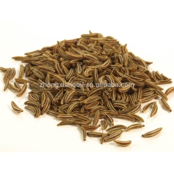 Organic Black Cumin Seed Oil at Wholesale Price