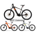 China Customized Addmotor Electric Bike Ebike Supplier