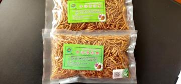 pets feed of dry yellow mealworms