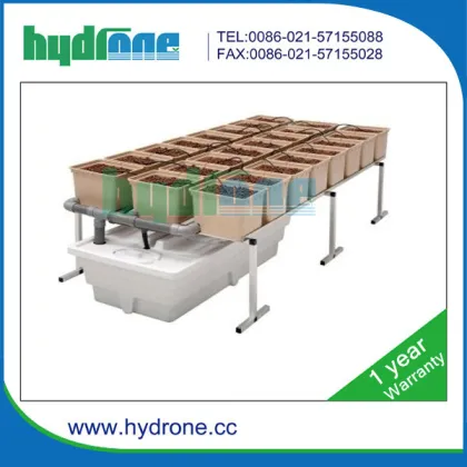 hydroponics greens dutch grow pot