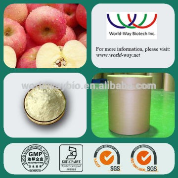 free sample ! strong anti-oxidant apple p.e. apple polyphenols phloretin phloridzin apple extract powder