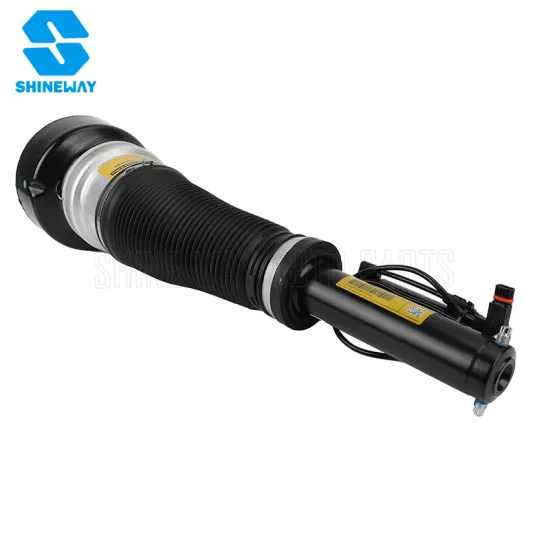Front Car Air Suspension Strut Shock Absorber for Mercedes-Benz S-Class W221 (A2213209313)