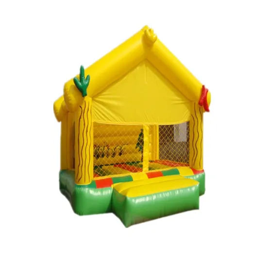 4x4 Meter Kids Jumping Castles: Inflatable Bounce House with Slide for Sale