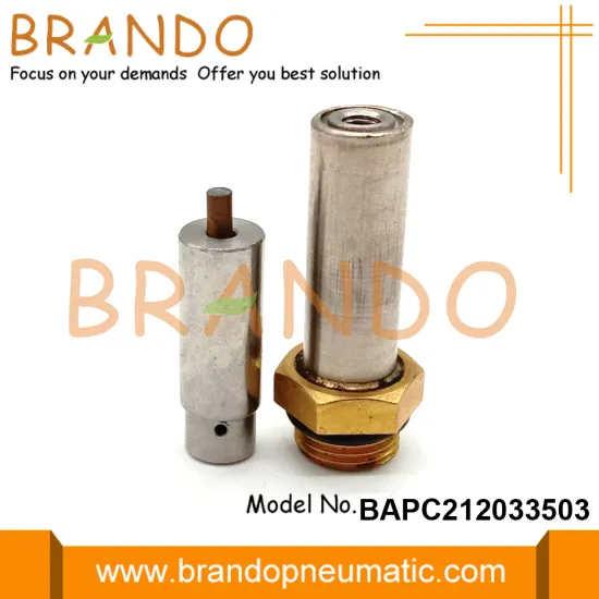 LPG CNG Reducer Solenoid Armature Plunger Core Tube